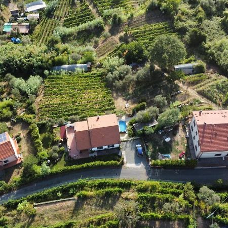 In Vino Veritas Arcola Luaran gambar