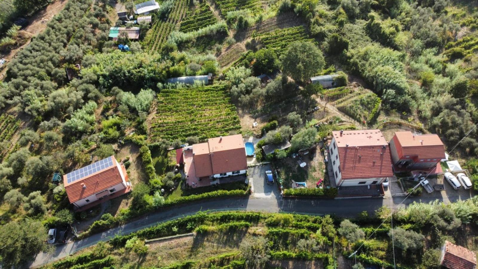 In Vino Veritas Arcola Luaran gambar